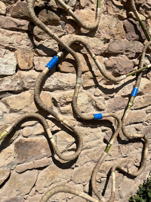 Un SerVivo